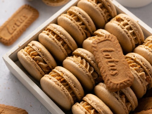 https://thewhitewhisk.com/wp-content/uploads/2023/06/Cookie-Butter-Macarons-01-500x375.jpg?crop=1