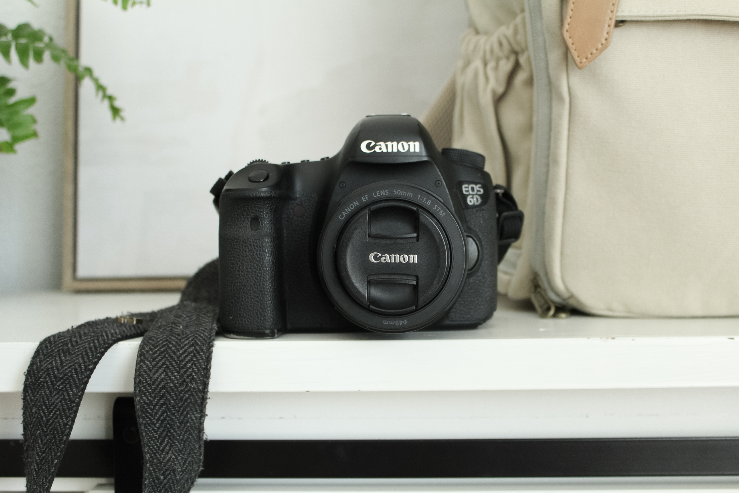 Cano EOS 6D Camera
